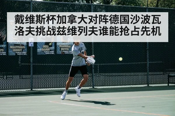 戴维斯杯加拿大对阵德国沙波瓦洛夫挑战兹维列夫谁能抢占先机